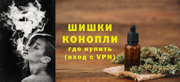 соль ск Туринск