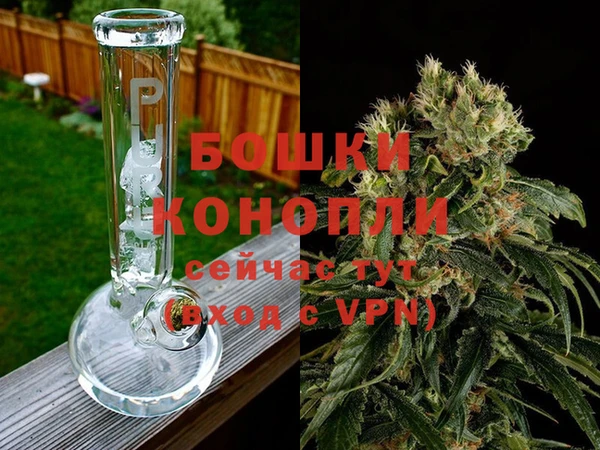 стаф Заволжье