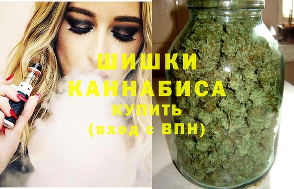 соль ск Туринск