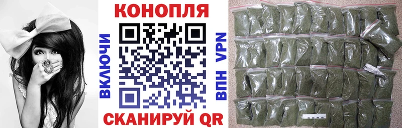 Марихуана гибрид  Орлов 